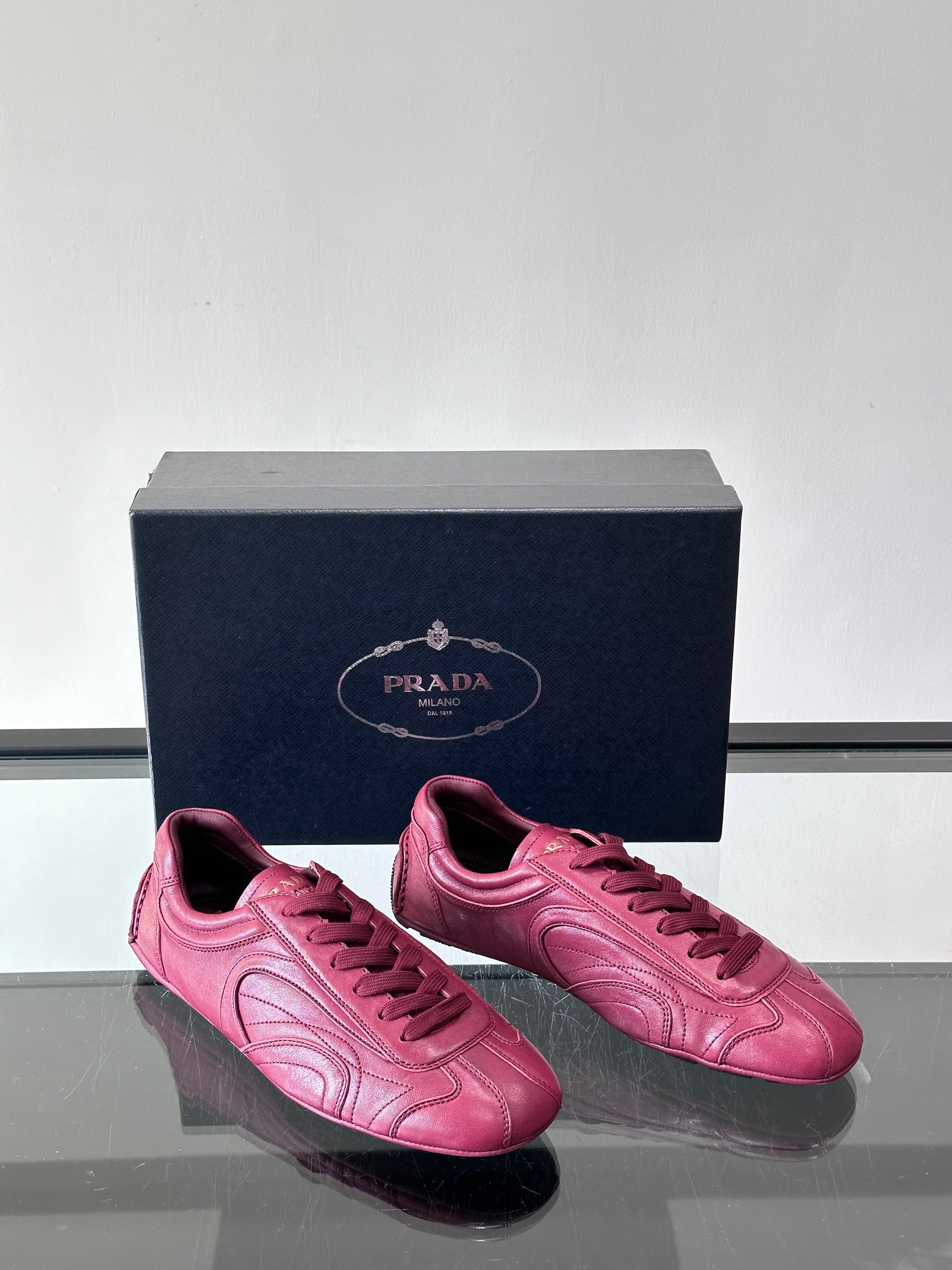 PD MONTECARLO SNEAKER