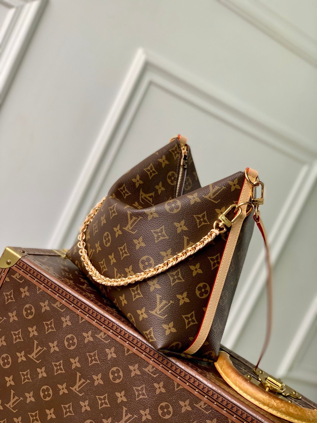 LOU MULTIPASS BAG
