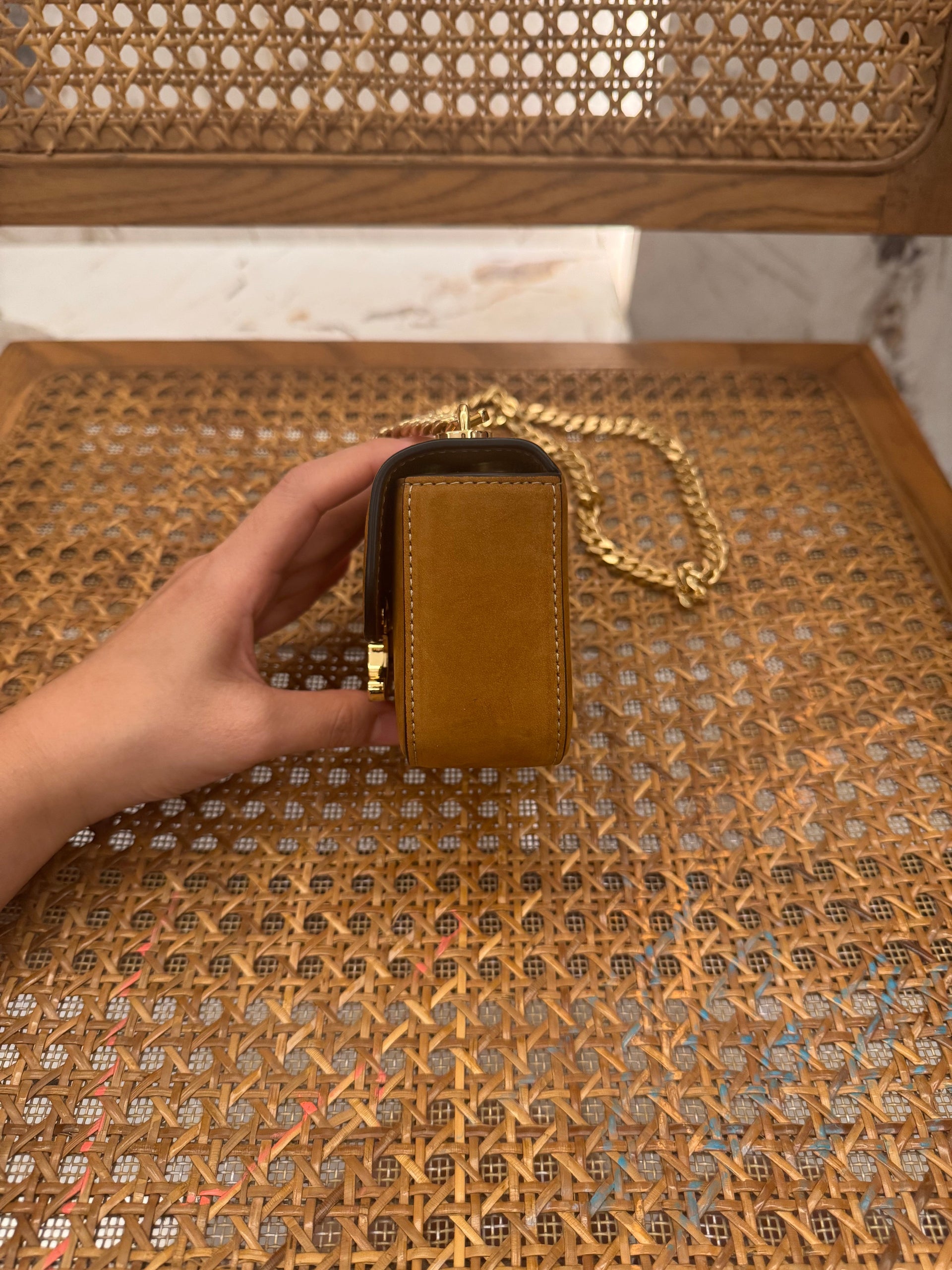 CEL MINI CLAUDE BAG