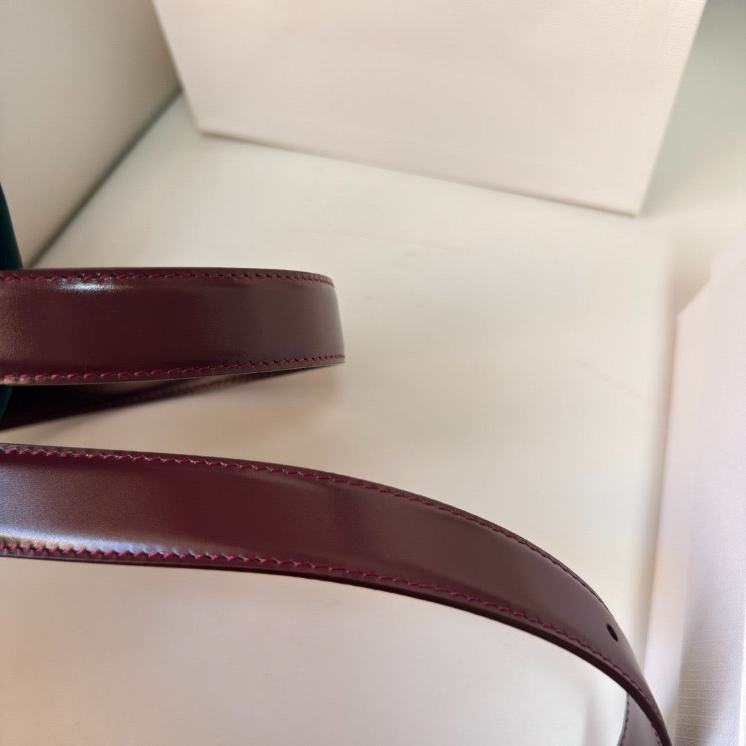 CEL 2.5 BELT