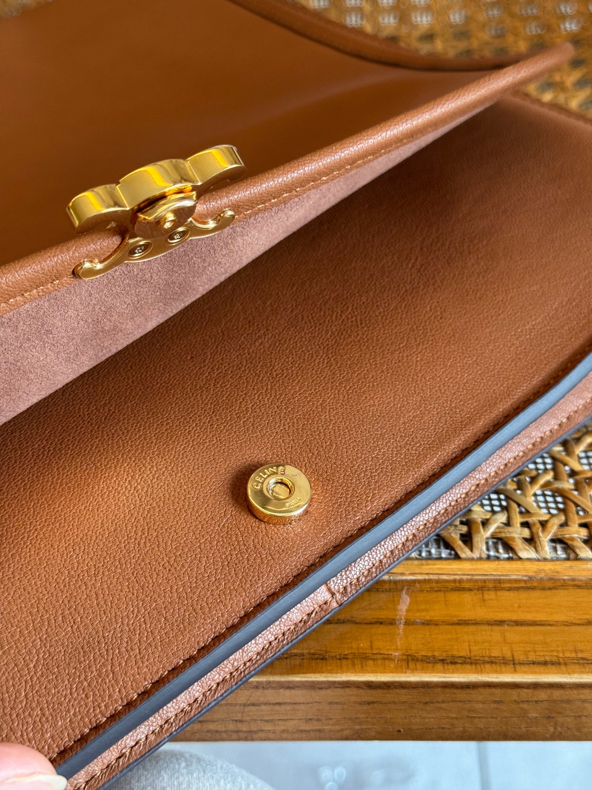 CEL TRIOMPHE BESACE BAG