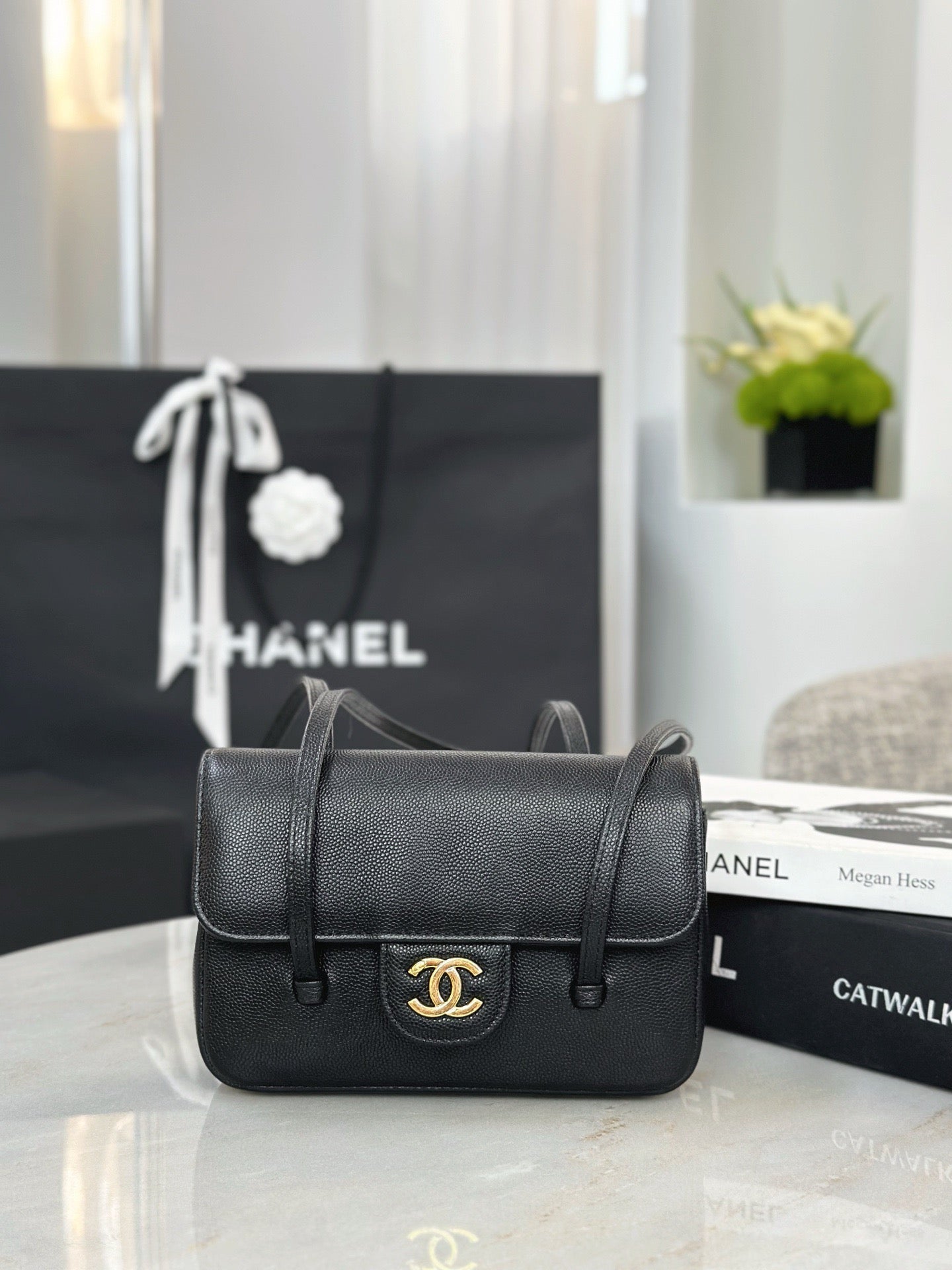 CC 26P BAG