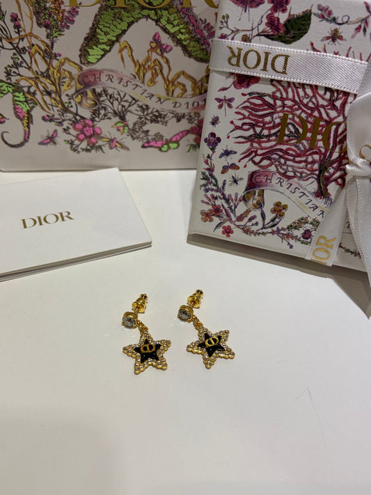 CD EARRINGS
