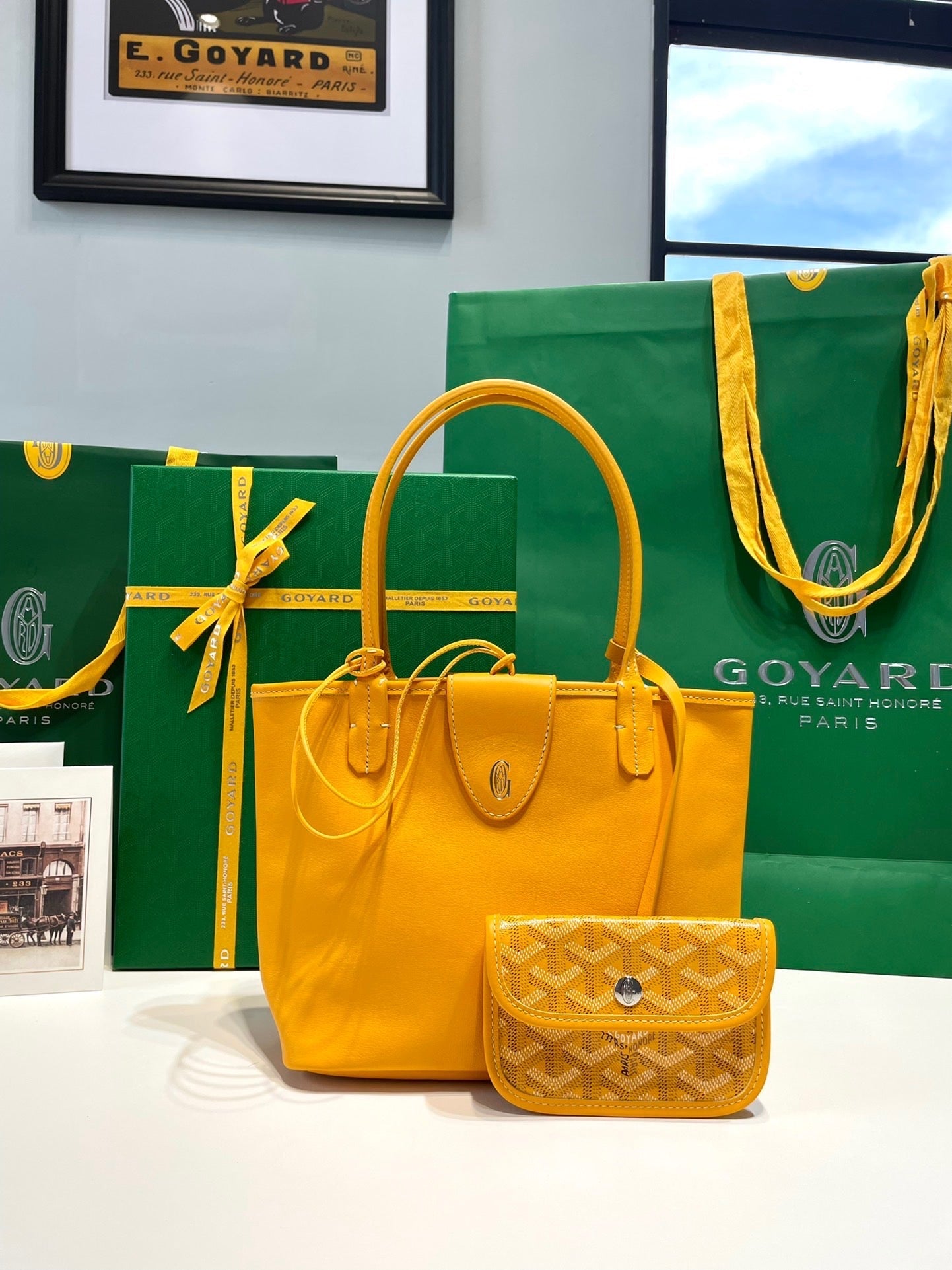 GOYA MINI ANJOU BAG