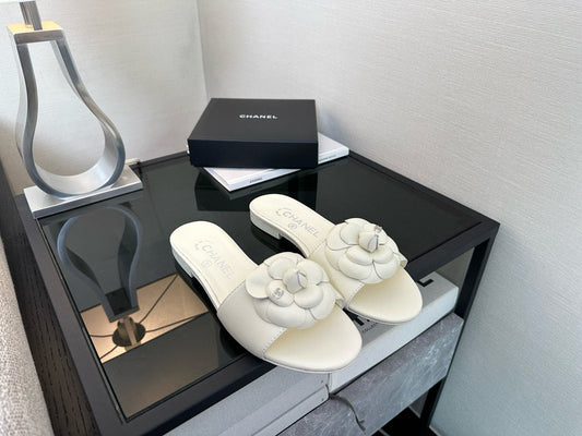 CC SLIDES