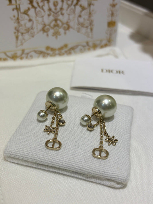 CD EARRINGS