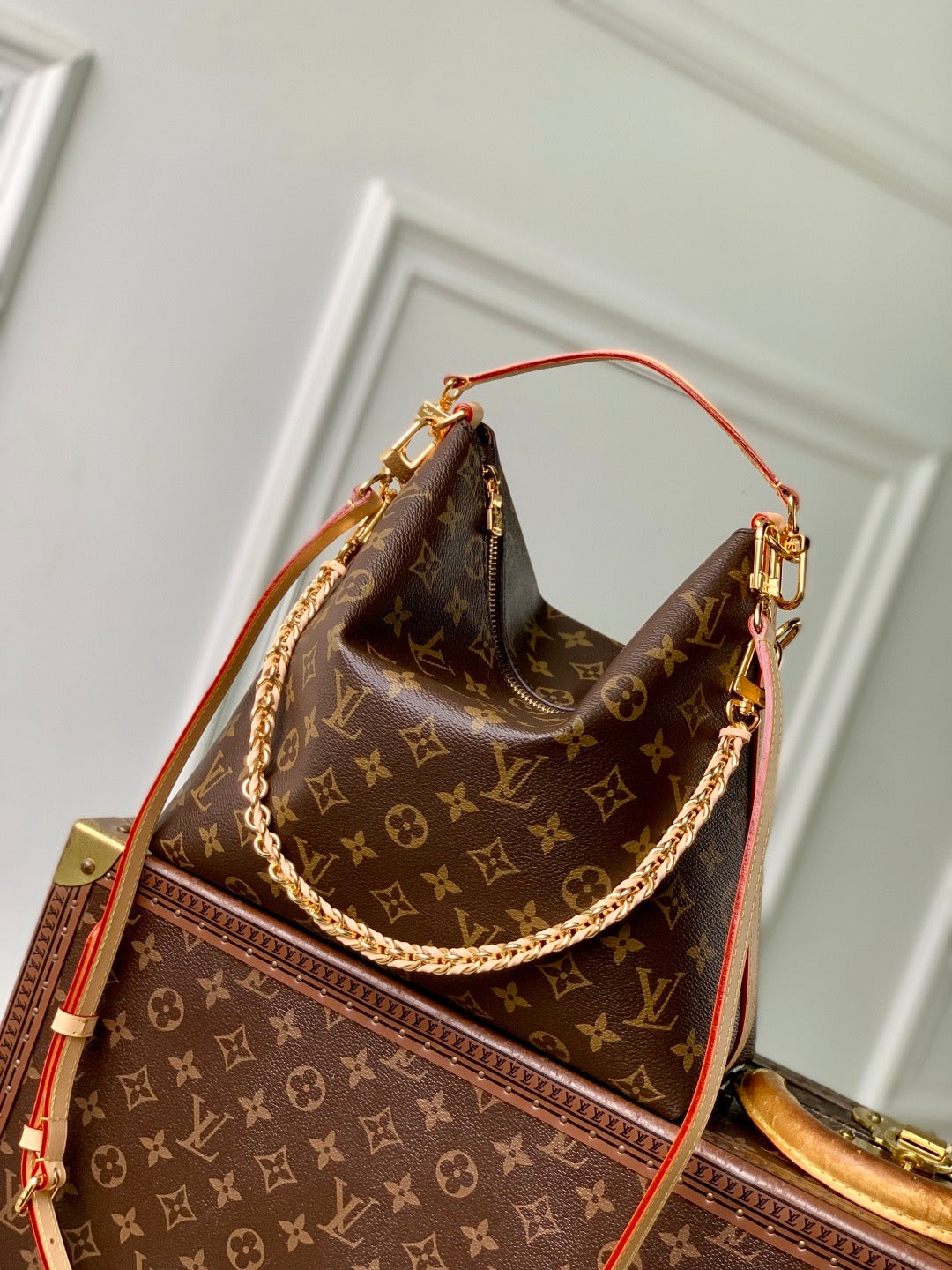 LOU MULTIPASS BAG