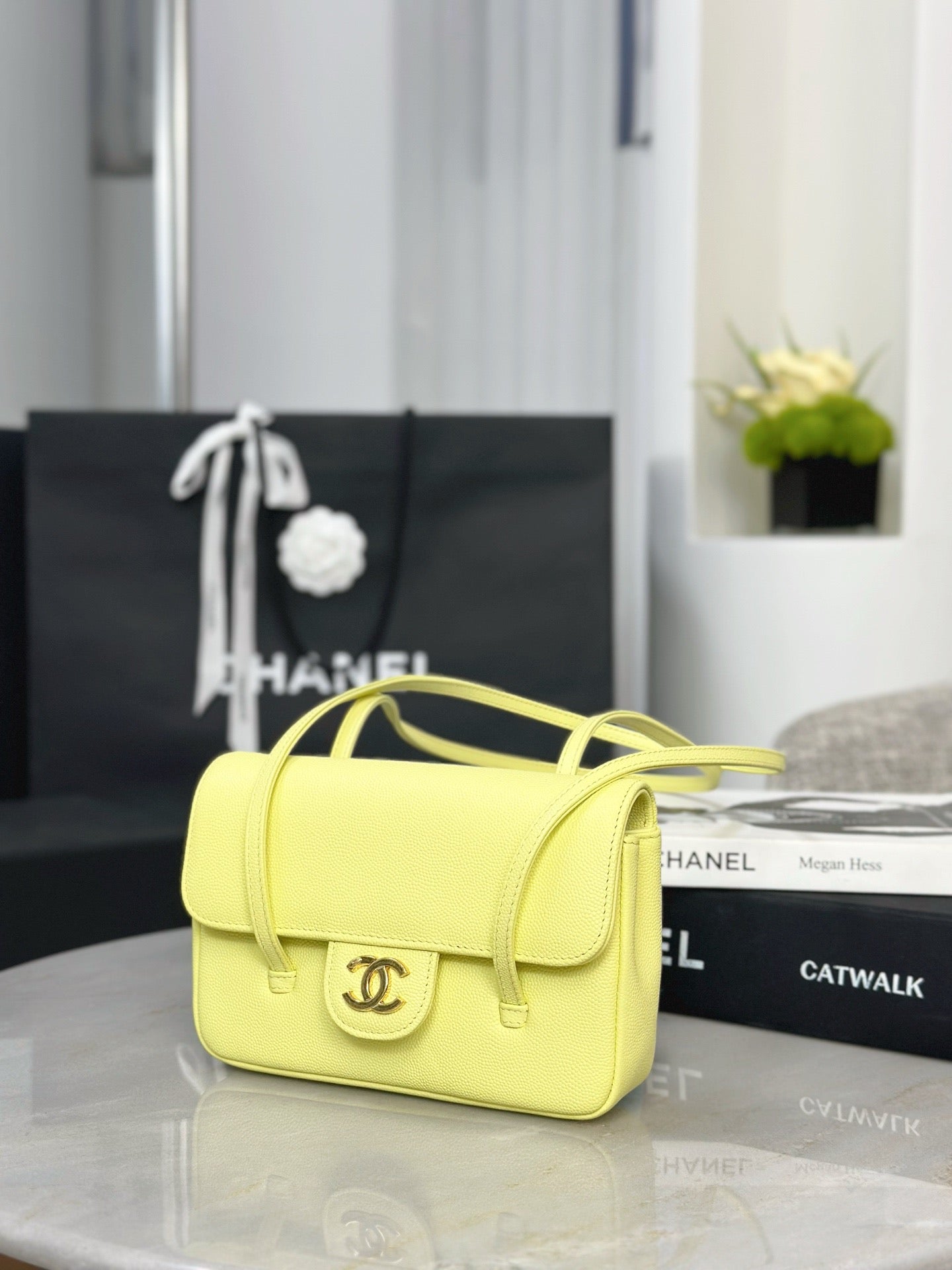 CC 26P BAG