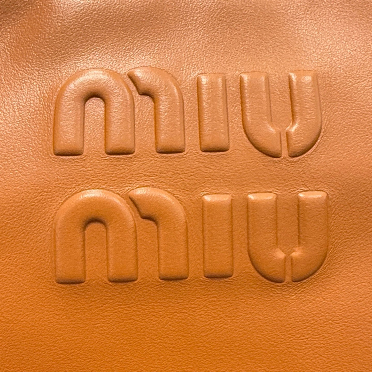MIU M BEAU LARGE BAG