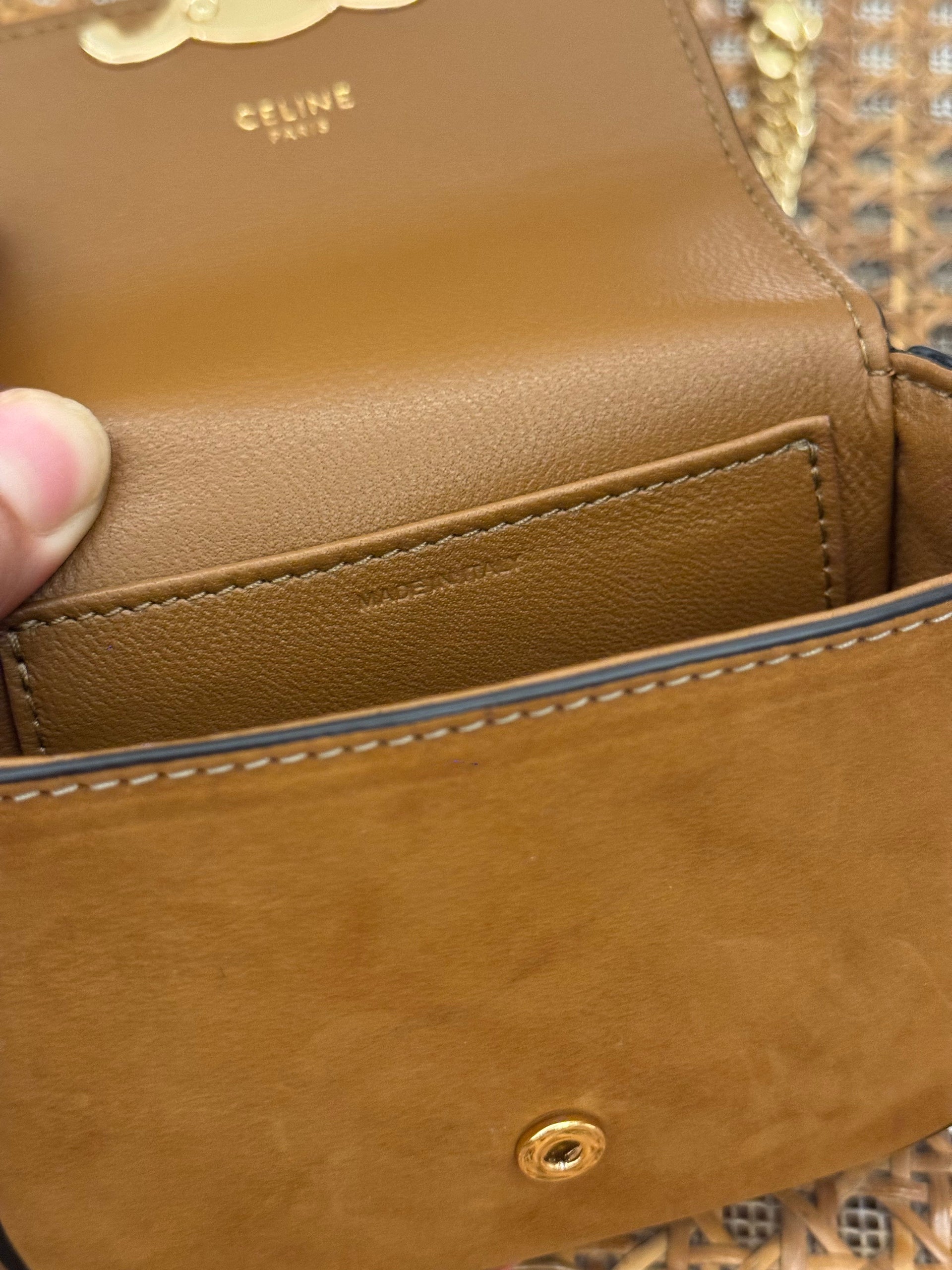 CEL MINI CLAUDE BAG