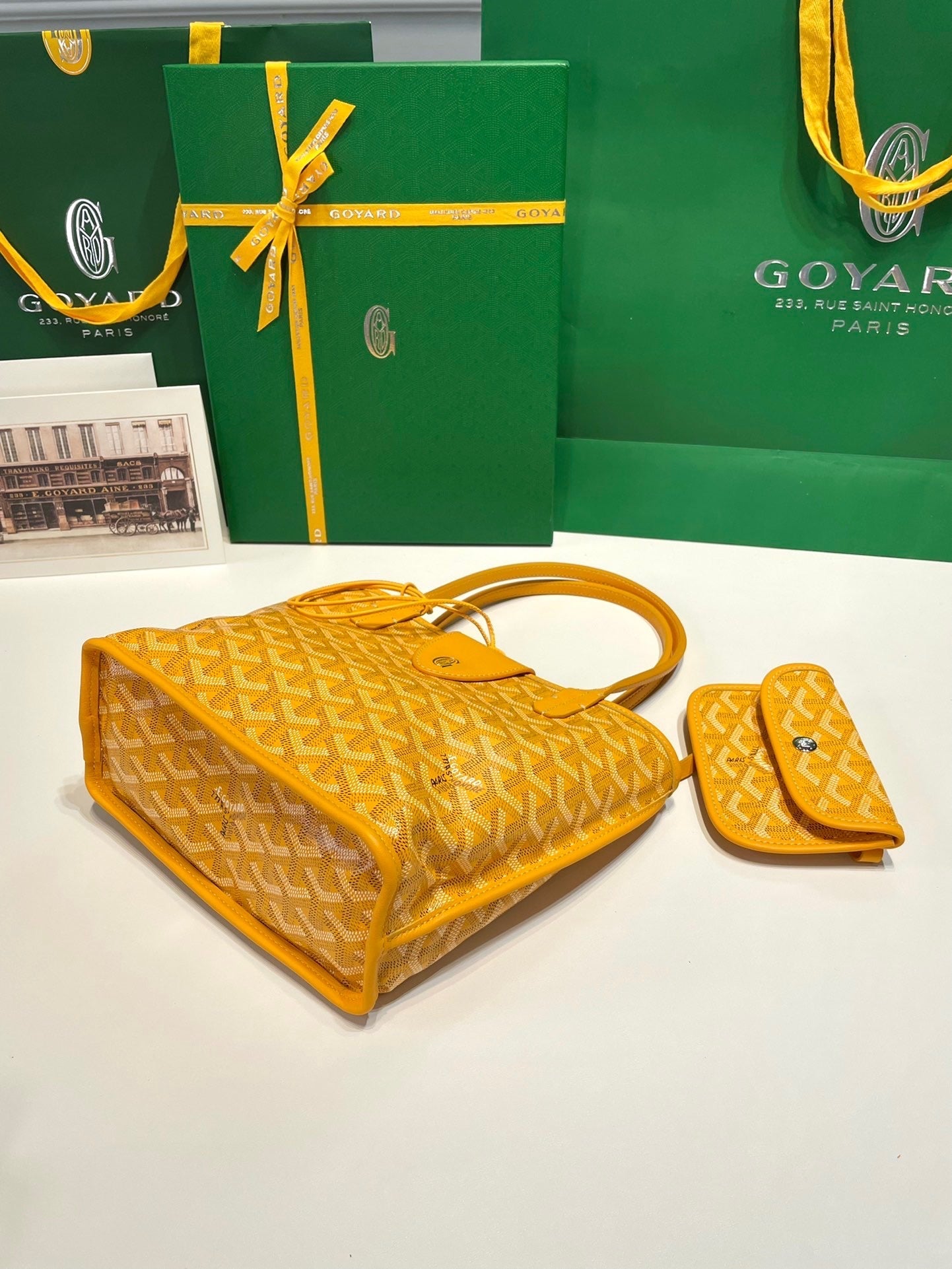 GOYA MINI ANJOU BAG