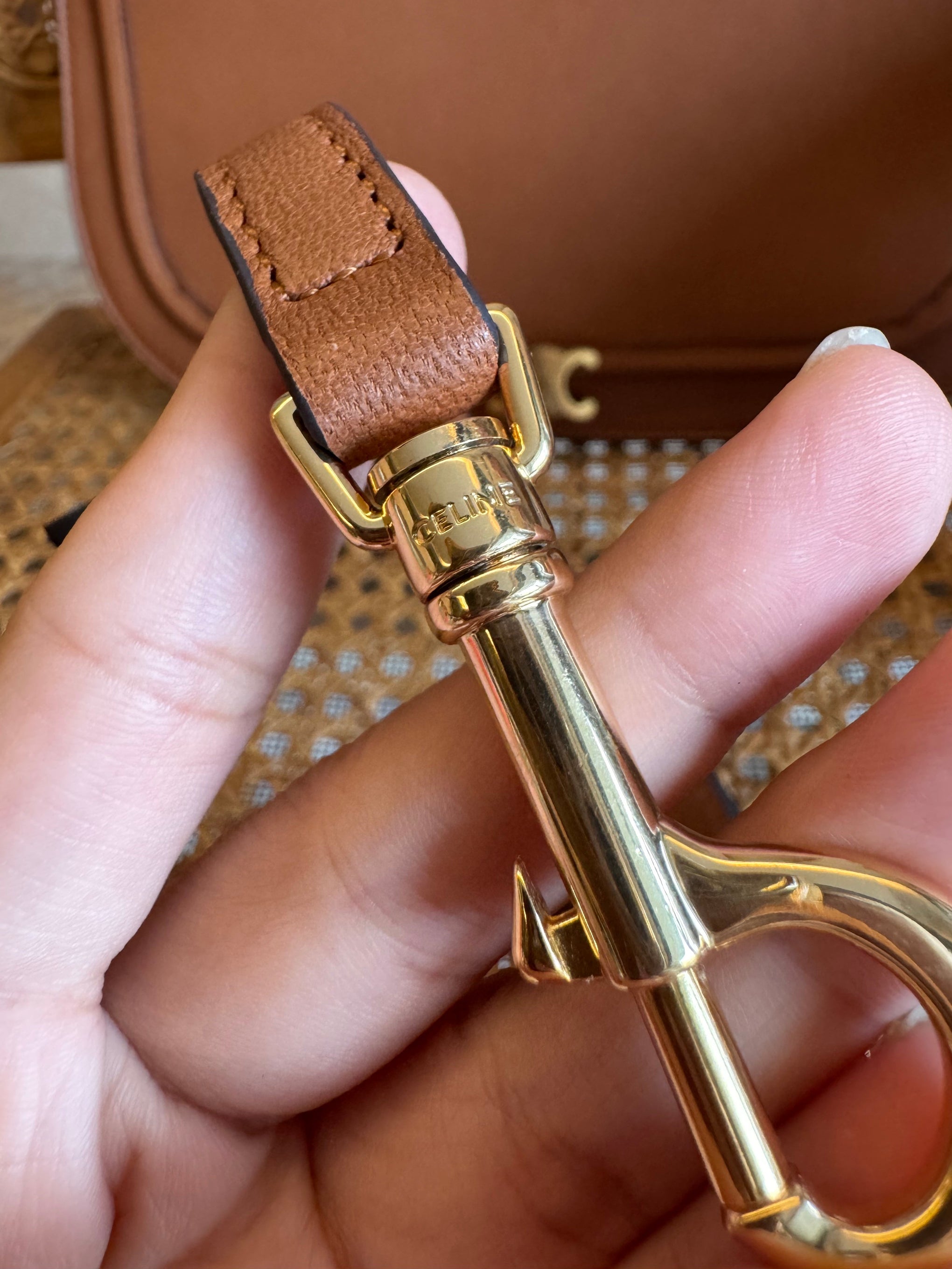 CEL TRIOMPHE BESACE BAG