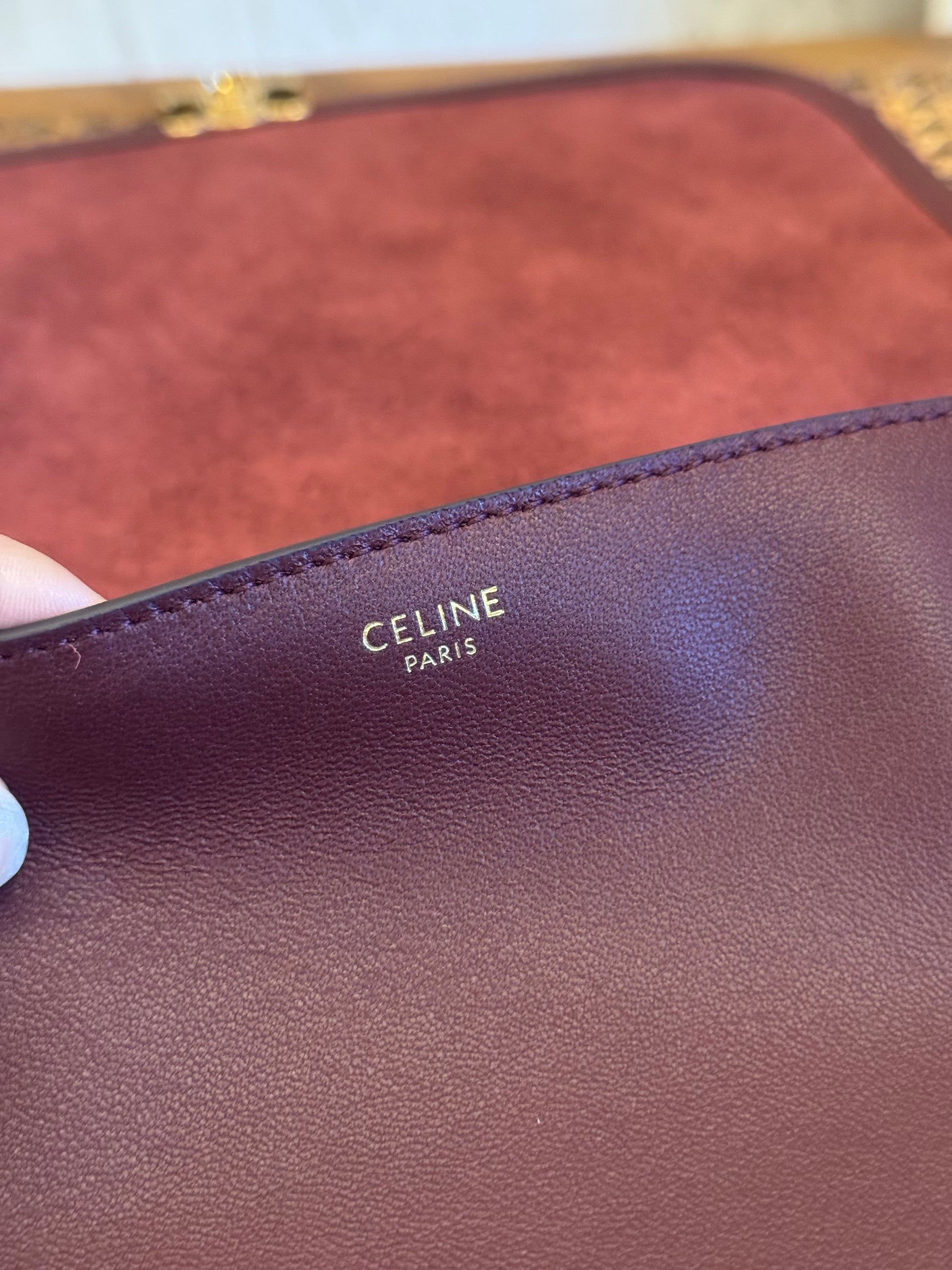 CEL TRIOMPHE BESACE BAG