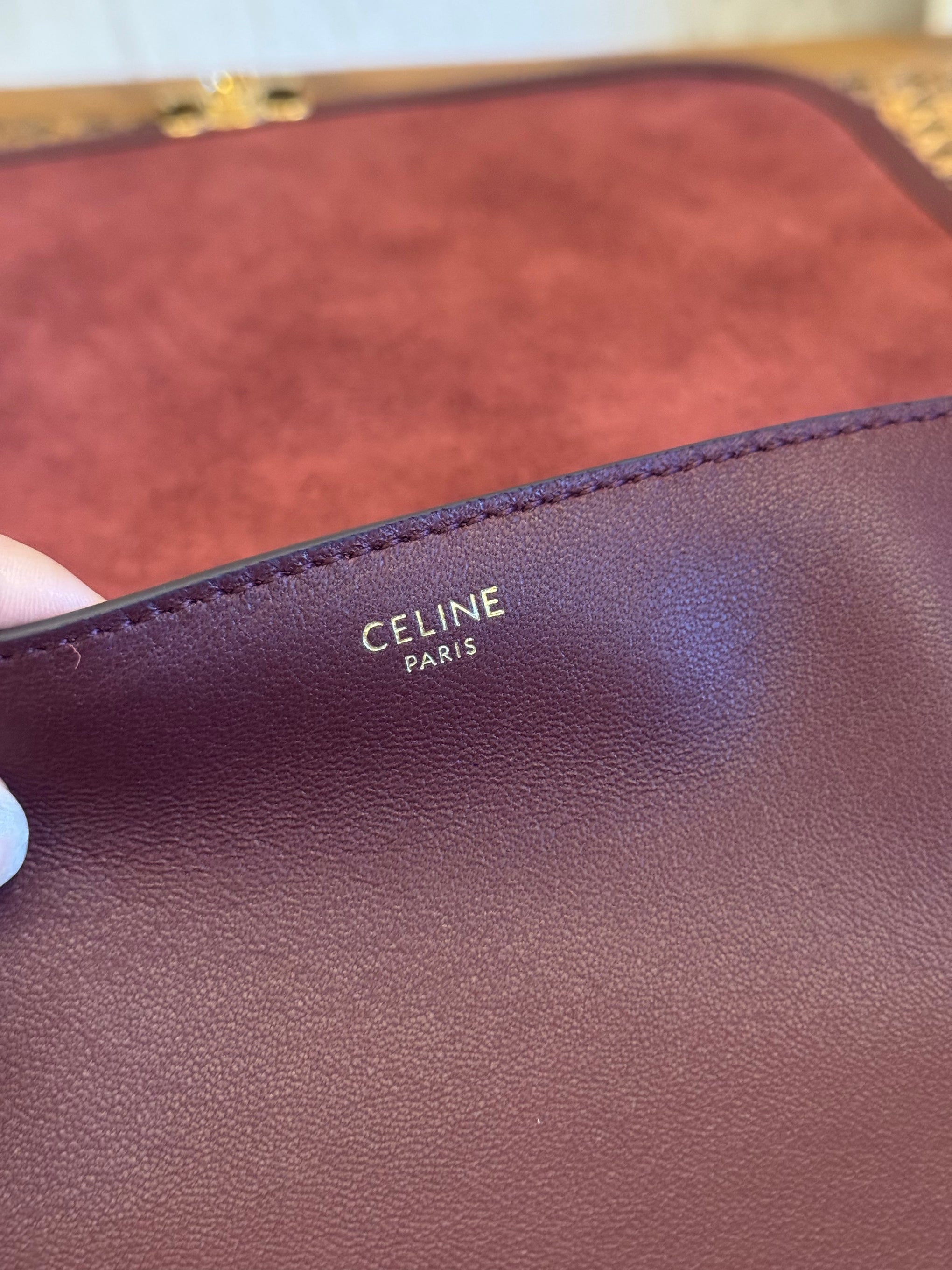 CEL TRIOMPHE BESACE BAG