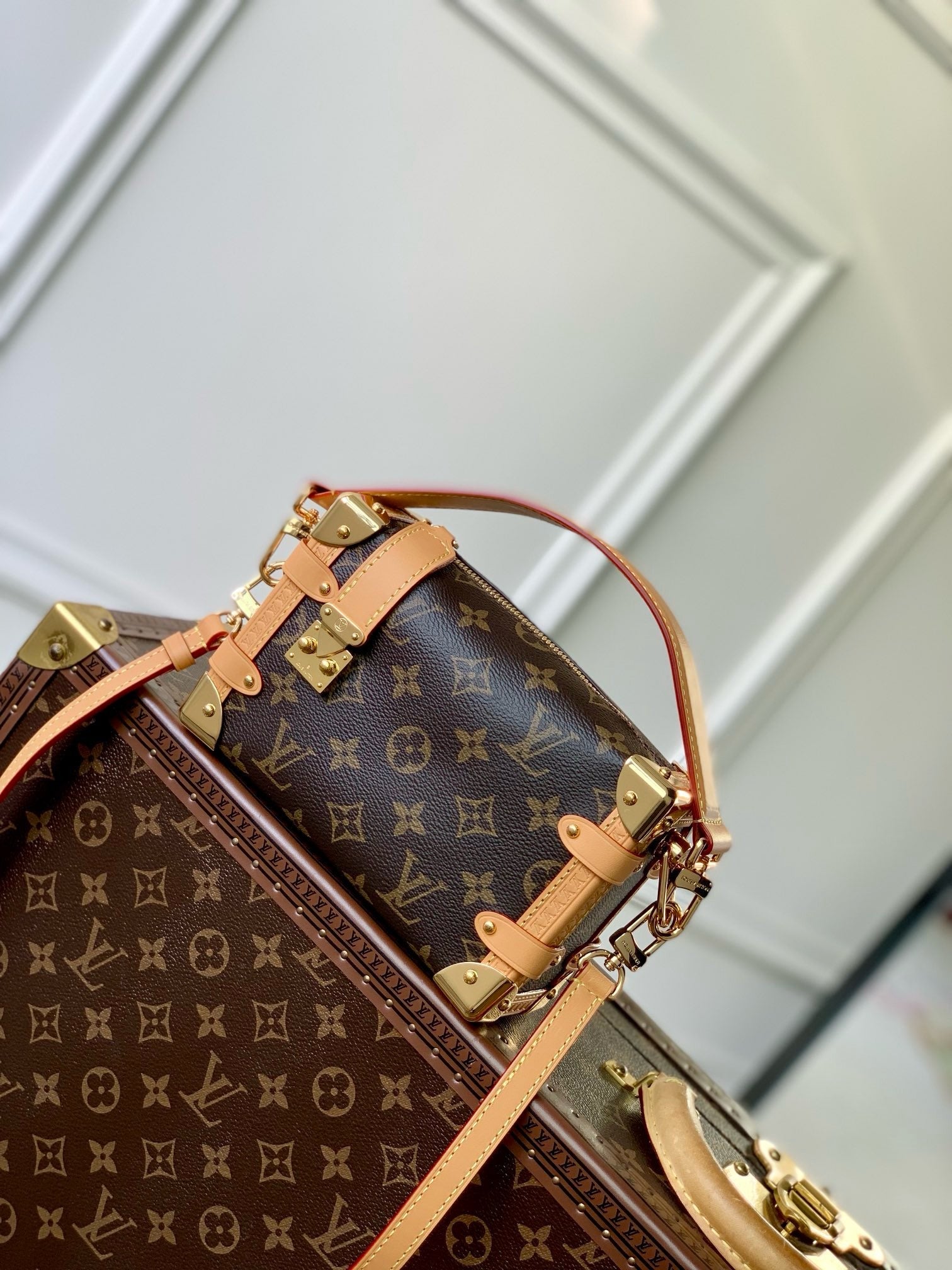 LOU SIDE TRUNK PM BAG