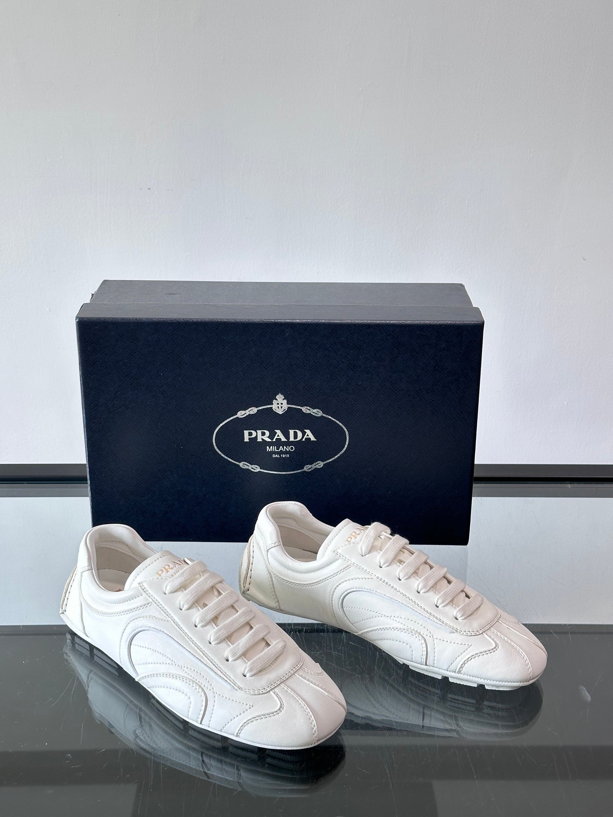 PD MONTECARLO SNEAKER