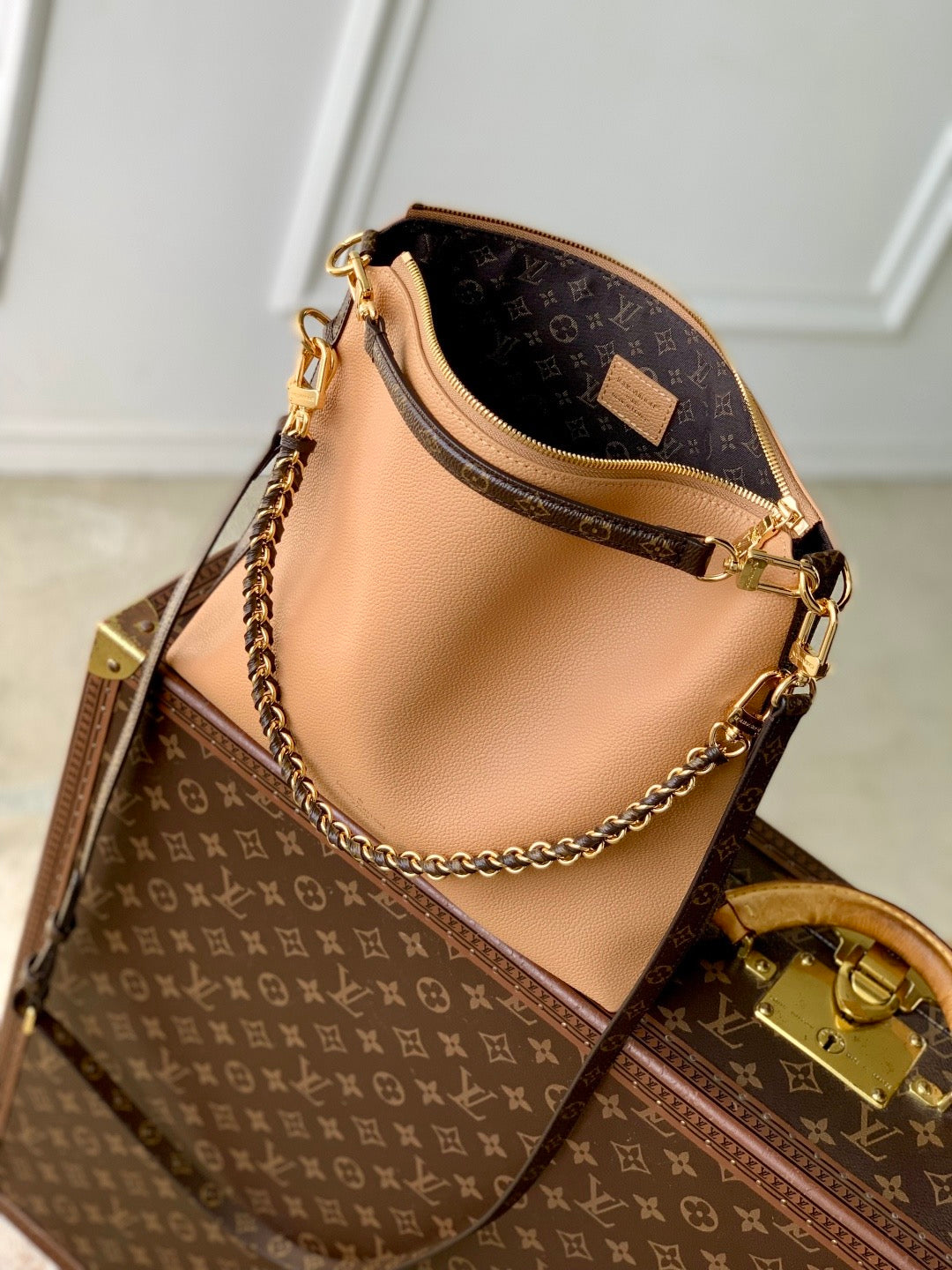 LOU MULTIPASS BAG