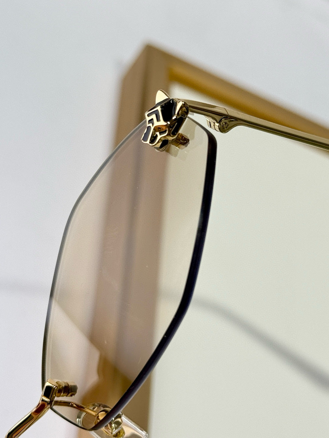 CARTIER SUNGLASSES