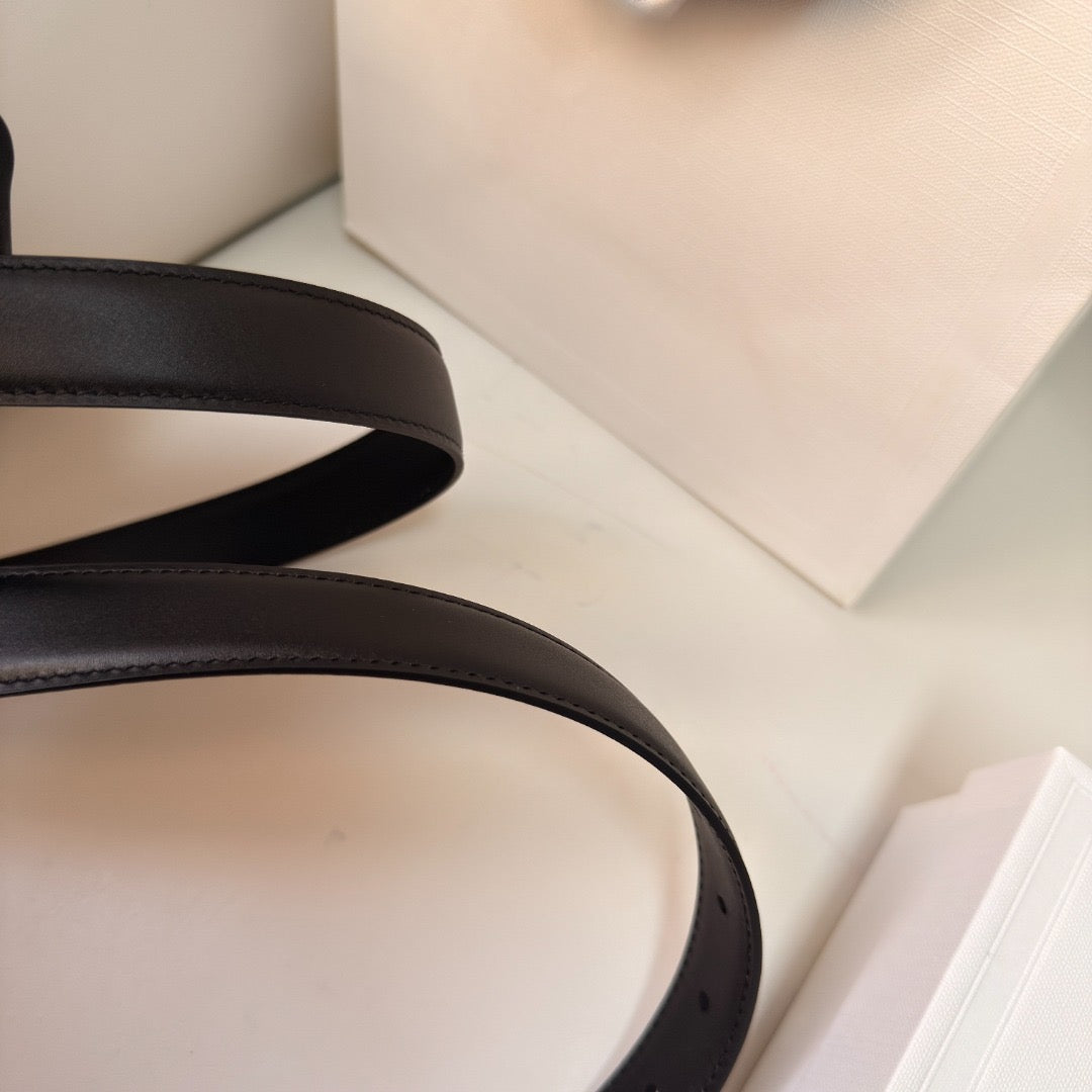 CEL 2.5 BELT