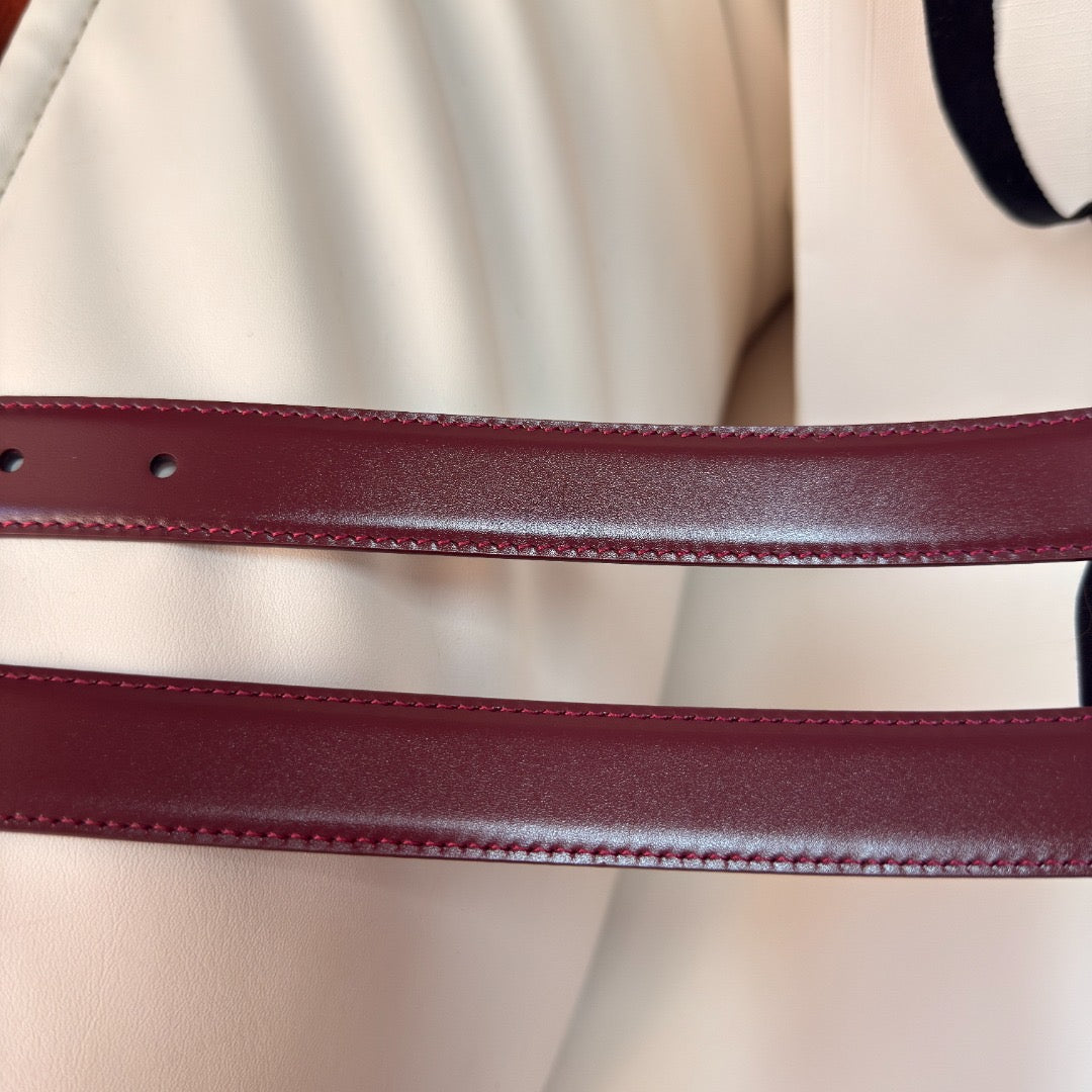 CEL 2.5 BELT