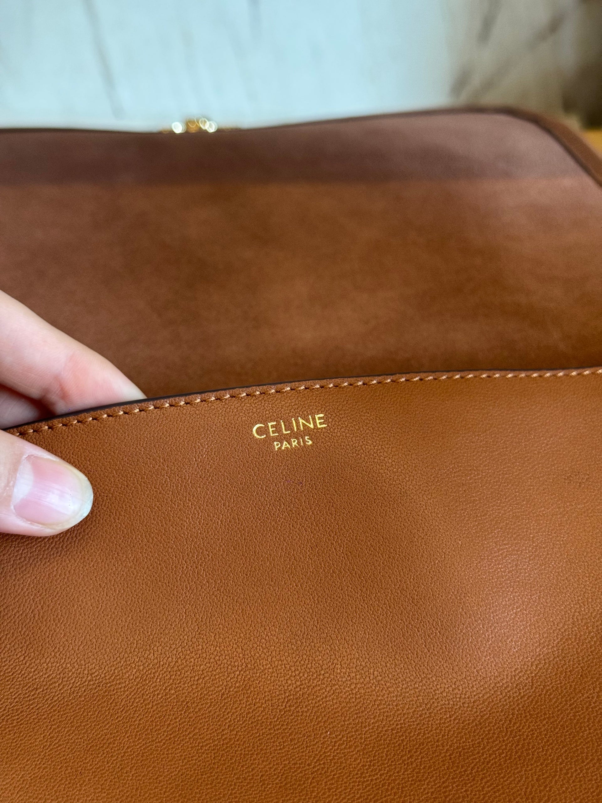 CEL TRIOMPHE BESACE BAG