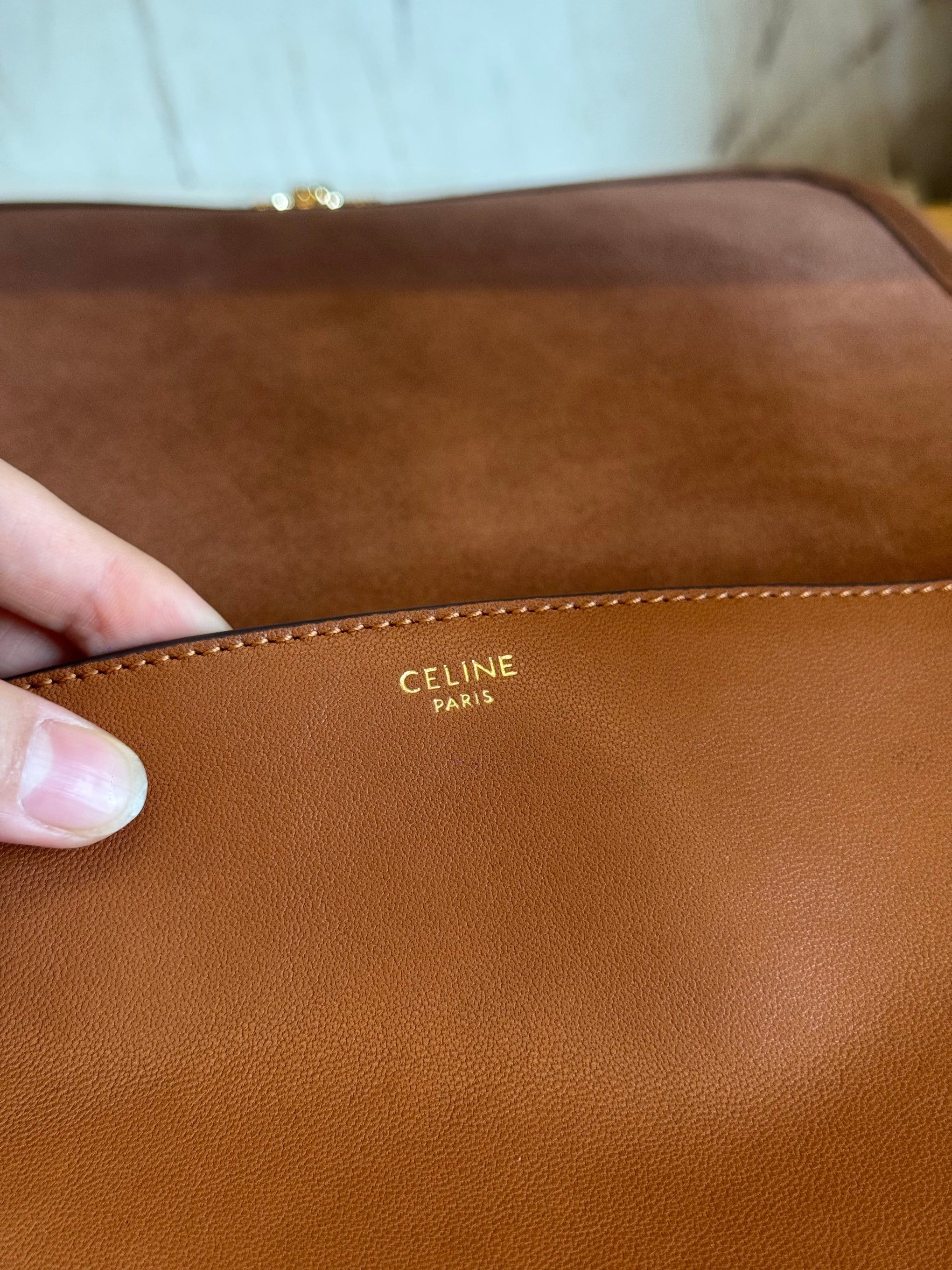 CEL TRIOMPHE BESACE BAG