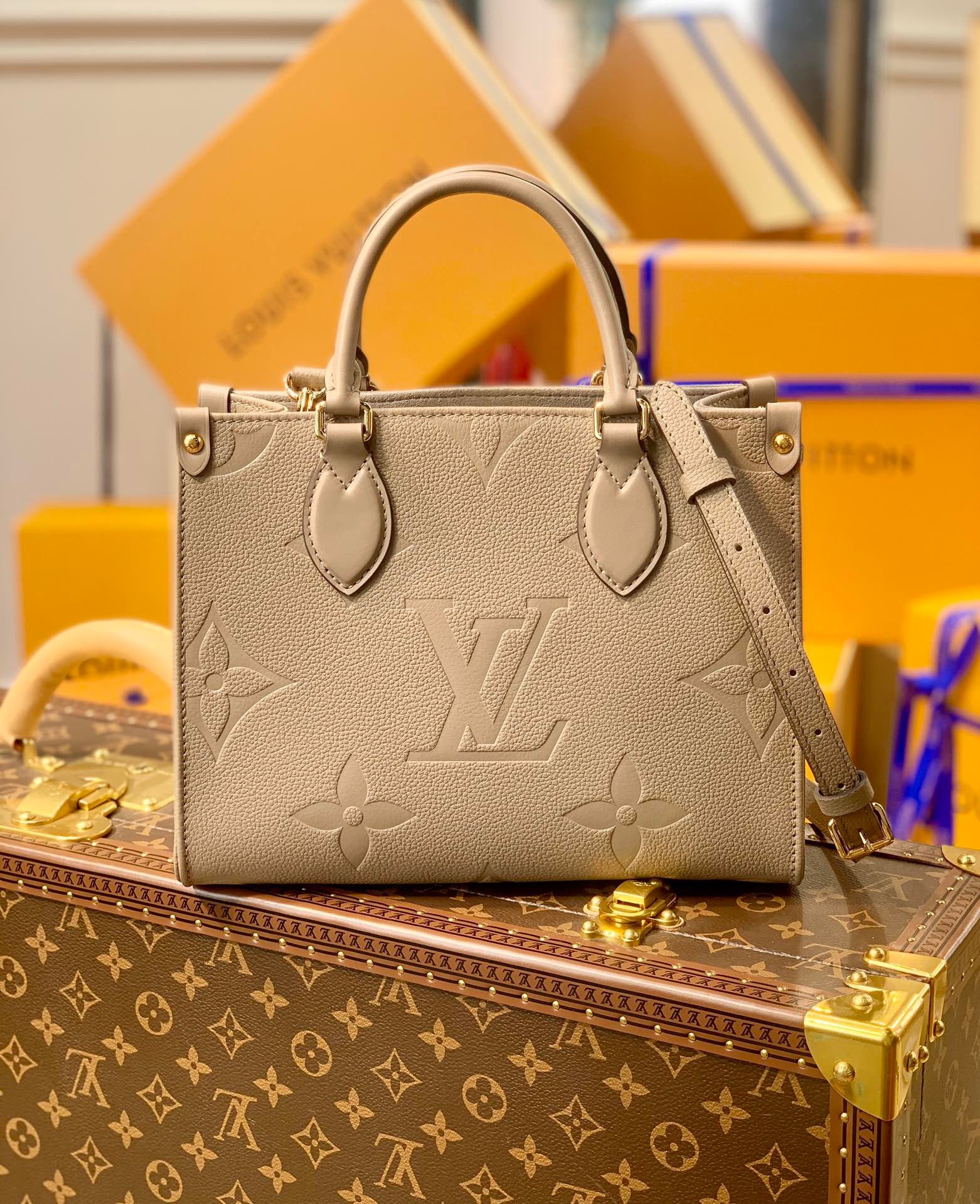 LOU ONTHEGO PM TOTE BAG