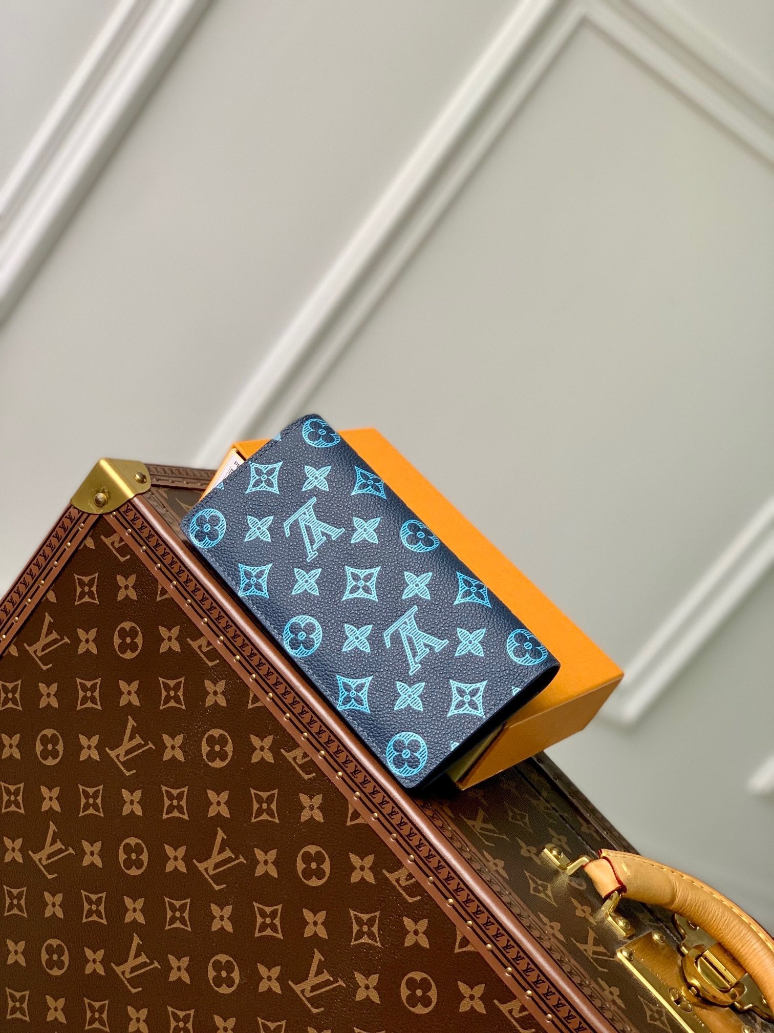 LOU AEROGRAM BRAZZA WALLET